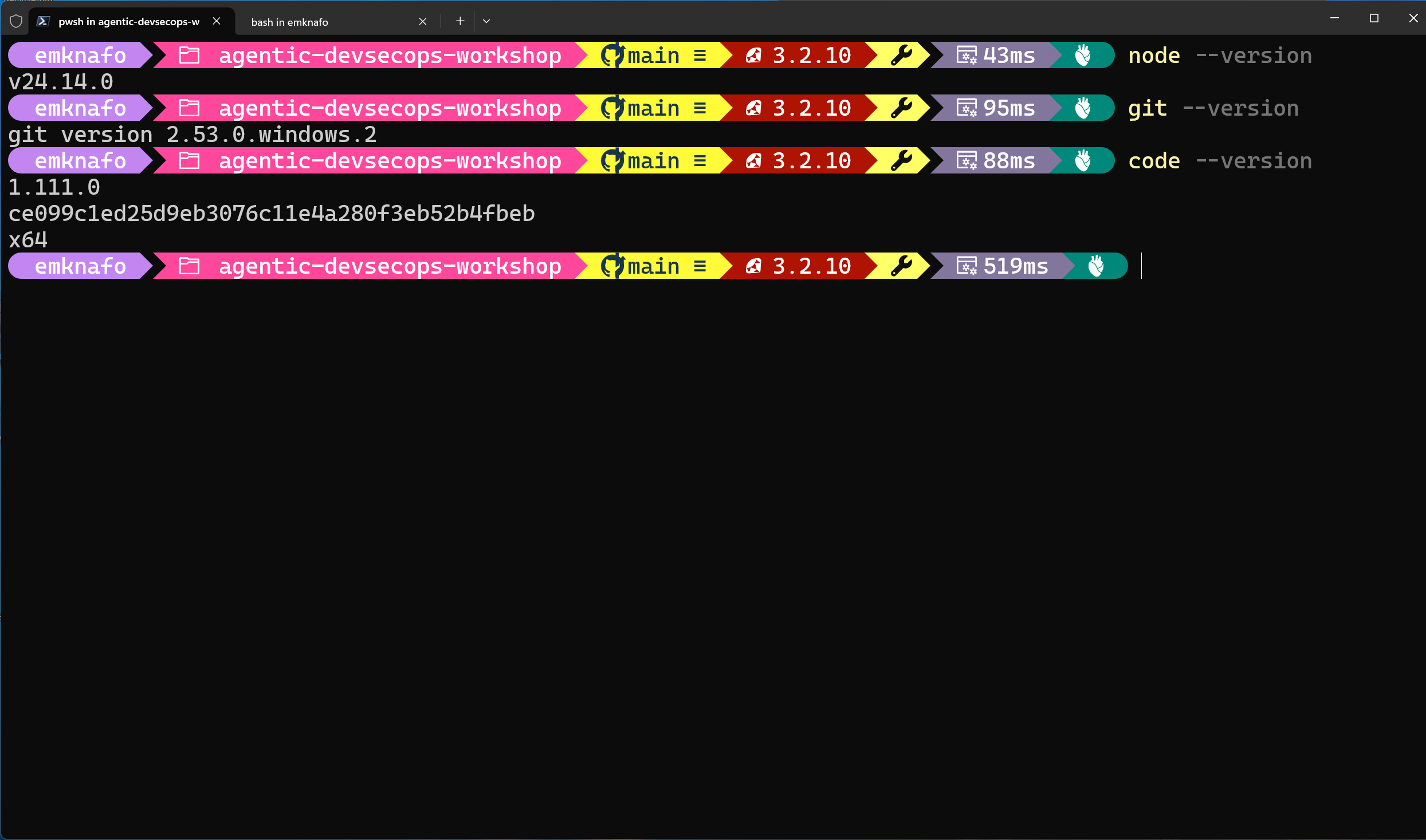 Terminal showing Node.js v20+ version